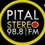 Pital Stereo en Vivo